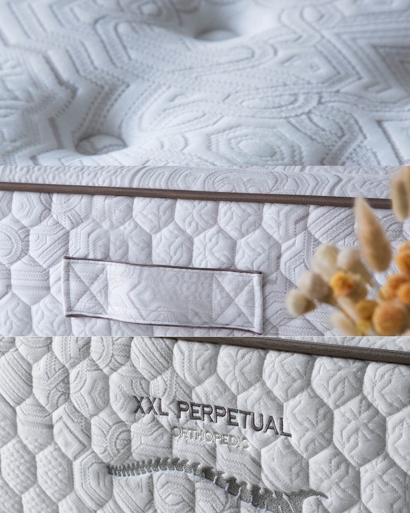PERPETUAL XXL 