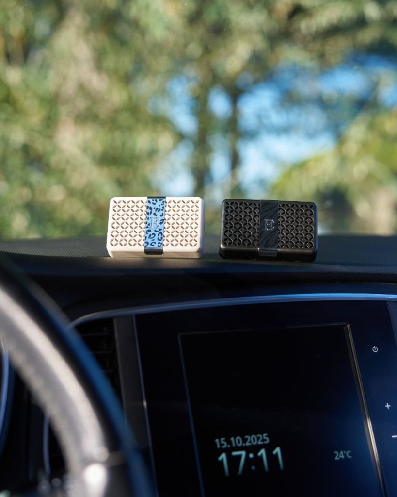 16_LÉOPARD